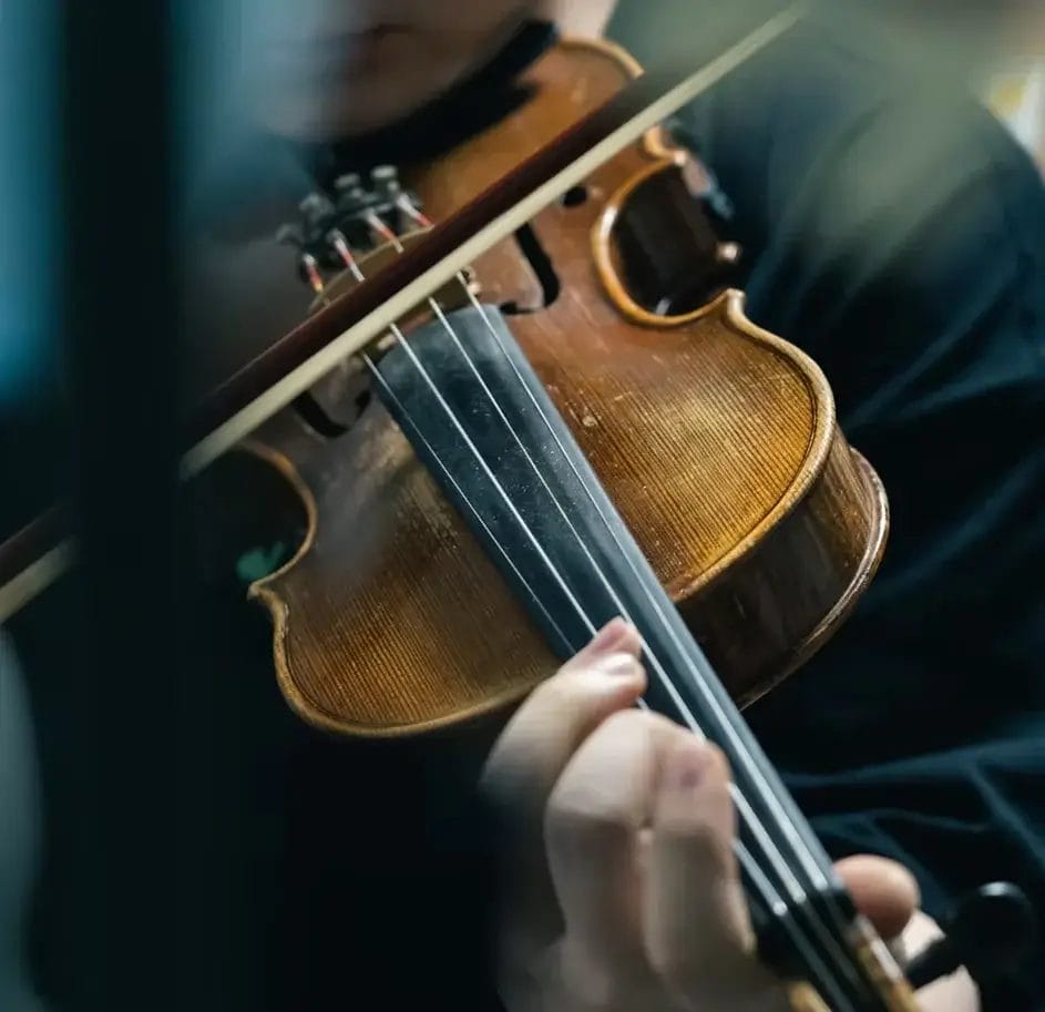Violin